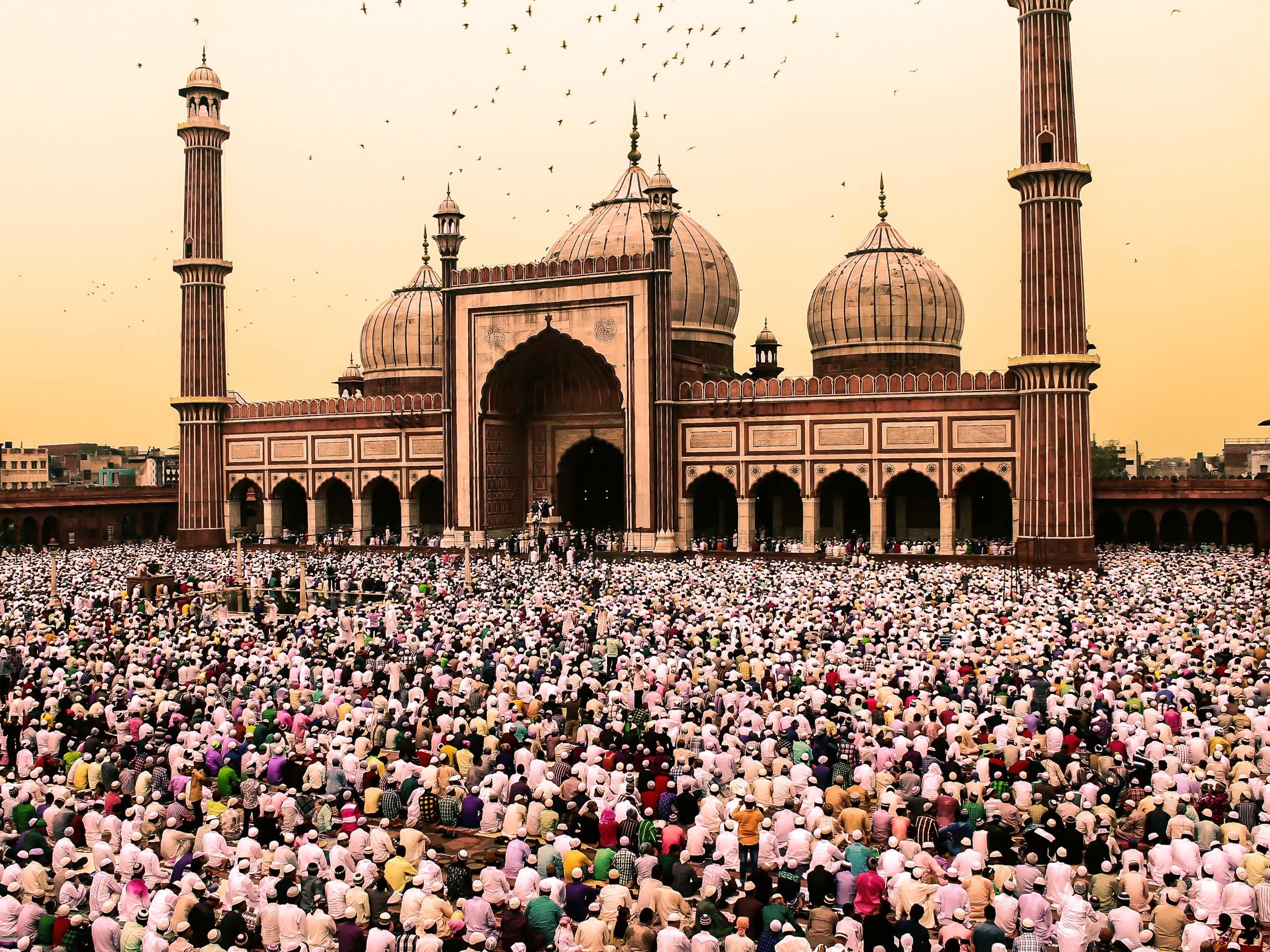 Islam & Christendom: Interactions, Making of The New World, & Islamophobia (Paradise)