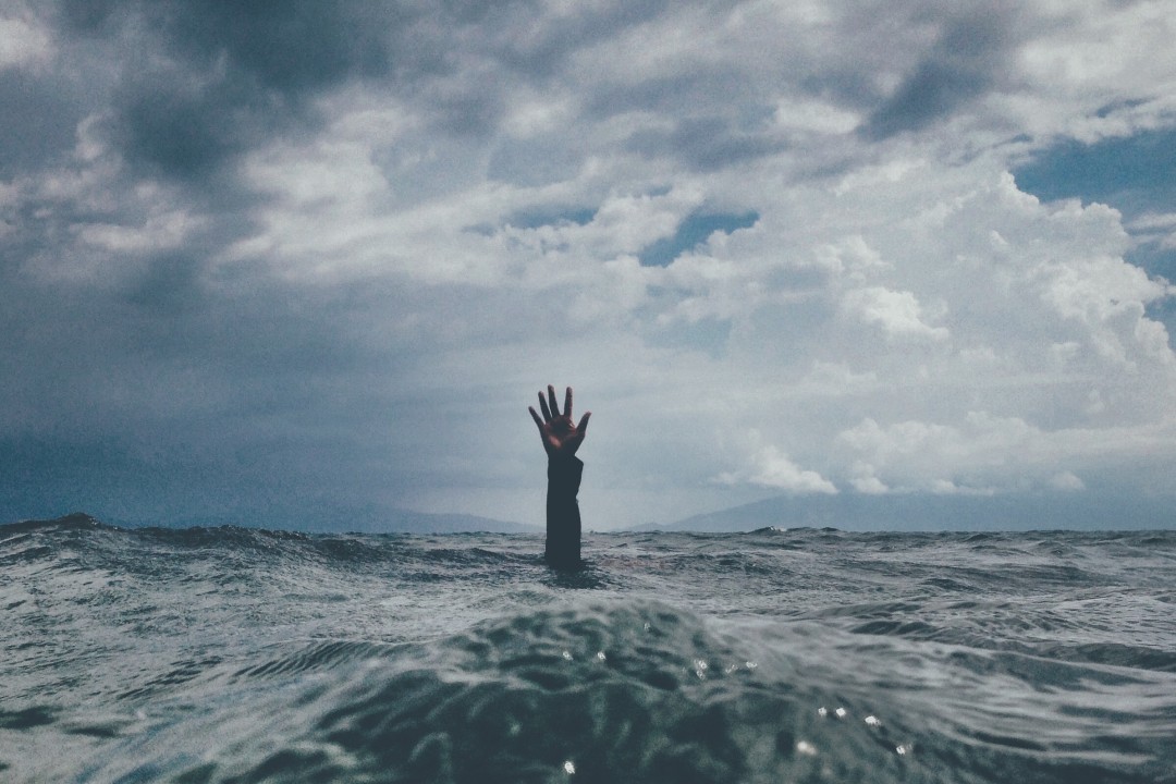Cultivating Contemplative Practices in a Chaotic World